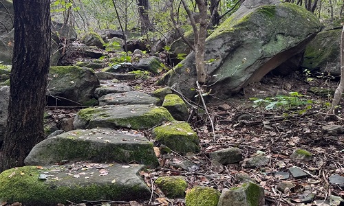 Hike